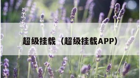 超级挂载（超级挂载APP）