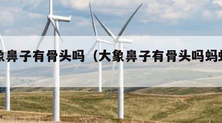 大象鼻子有骨头吗（大象鼻子有骨头吗蚂蚁庄园）