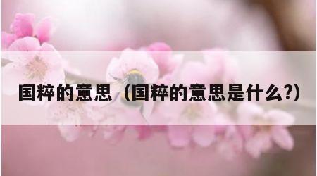 国粹的意思（国粹的意思是什么?）
