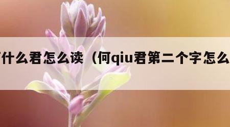何什么君怎么读（何qiu君第二个字怎么念）