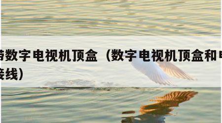 宽带数字电视机顶盒（数字电视机顶盒和电视连接线）