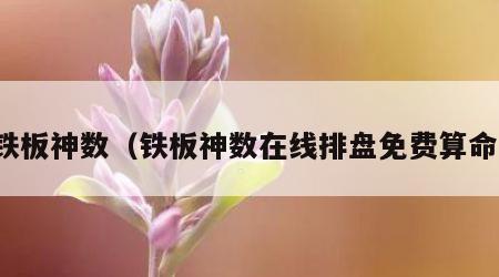 铁板神数（铁板神数在线排盘免费算命）