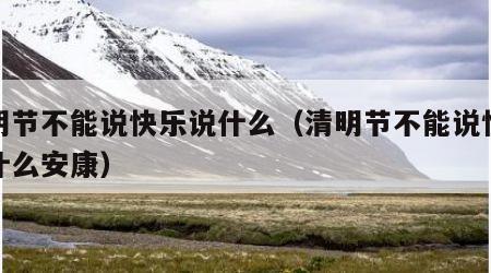 清明节不能说快乐说什么（清明节不能说快乐说什么安康）