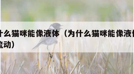 为什么猫咪能像液体（为什么猫咪能像液体一样流动）