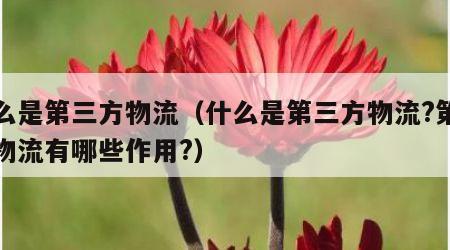 什么是第三方物流（什么是第三方物流?第三方物流有哪些作用?）