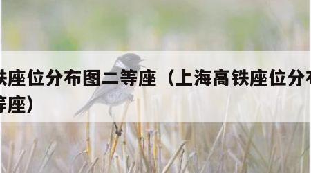 高铁座位分布图二等座（上海高铁座位分布图二等座）