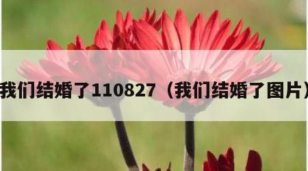 我们结婚了110827（我们结婚了图片）