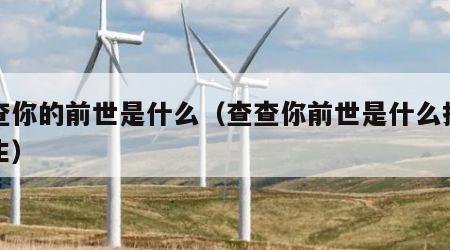 查查你的前世是什么（查查你前世是什么投胎而生）