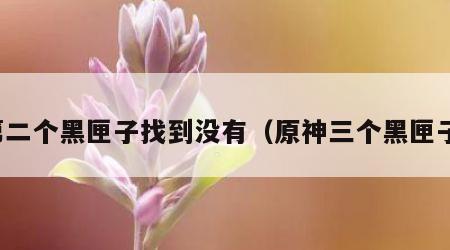 第二个黑匣子找到没有（原神三个黑匣子）