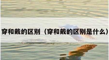 穿和戴的区别（穿和戴的区别是什么）