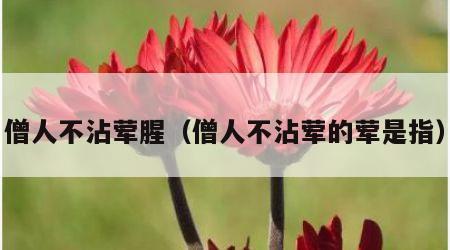 僧人不沾荤腥（僧人不沾荤的荤是指）