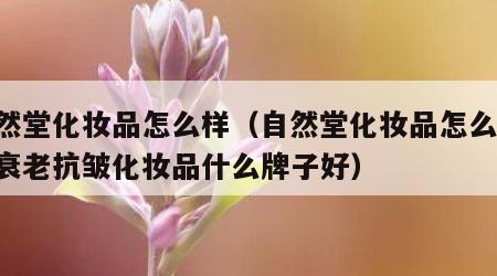自然堂化妆品怎么样（自然堂化妆品怎么样,抗衰老抗皱化妆品什么牌子好）