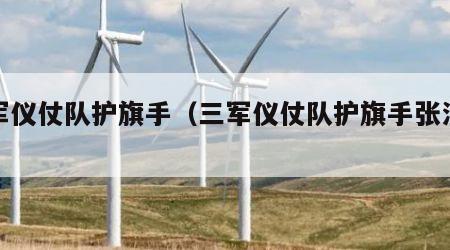 三军仪仗队护旗手（三军仪仗队护旗手张洪杰）