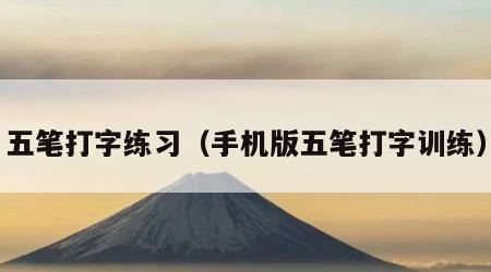 五笔打字练习（手机版五笔打字训练）