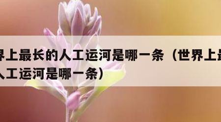 世界上最长的人工运河是哪一条（世界上最长的人工运河是哪一条）
