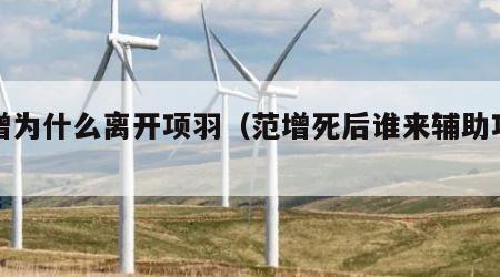 范增为什么离开项羽（范增死后谁来辅助项羽）