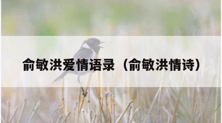俞敏洪爱情语录（俞敏洪情诗）