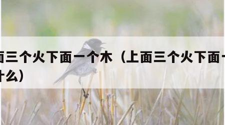上面三个火下面一个木（上面三个火下面一木读什么）