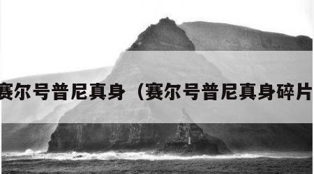 赛尔号普尼真身（赛尔号普尼真身碎片）