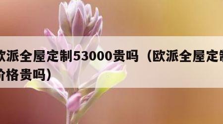 欧派全屋定制53000贵吗（欧派全屋定制价格贵吗）
