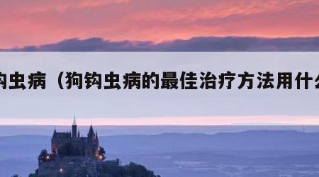 狗钩虫病（狗钩虫病的最佳治疗方法用什么药）