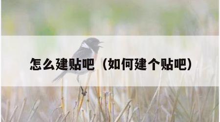 怎么建贴吧（如何建个贴吧）