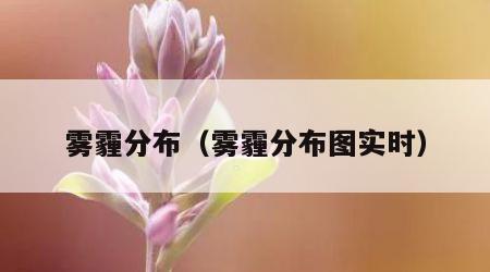 雾霾分布（雾霾分布图实时）