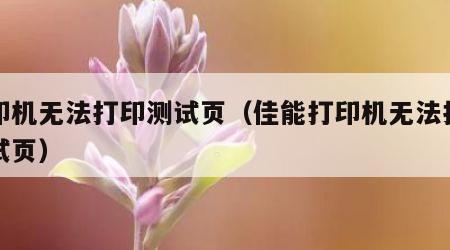 打印机无法打印测试页（佳能打印机无法打印测试页）