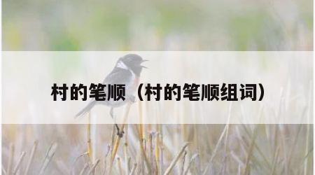 村的笔顺（村的笔顺组词）