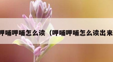 呷哺呷哺怎么读（呷哺呷哺怎么读出来）