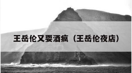 王岳伦又耍酒疯（王岳伦夜店）