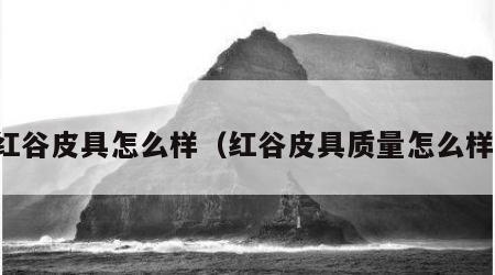 红谷皮具怎么样（红谷皮具质量怎么样）
