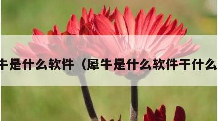 犀牛是什么软件（犀牛是什么软件干什么的）