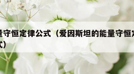 能量守恒定律公式（爱因斯坦的能量守恒定律公式）