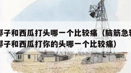 用椰子和西瓜打头哪一个比较痛（脑筋急转弯用椰子和西瓜打你的头哪一个比较痛）