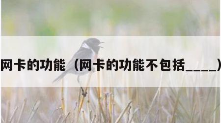 网卡的功能（网卡的功能不包括____）