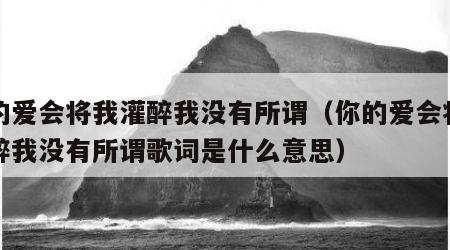 你的爱会将我灌醉我没有所谓（你的爱会将我灌醉我没有所谓歌词是什么意思）