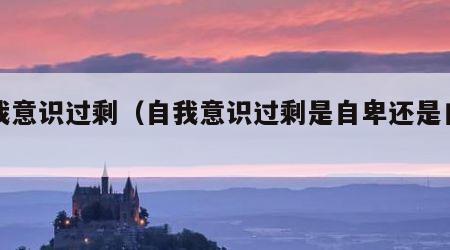 自我意识过剩（自我意识过剩是自卑还是自负）