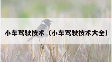 小车驾驶技术（小车驾驶技术大全）