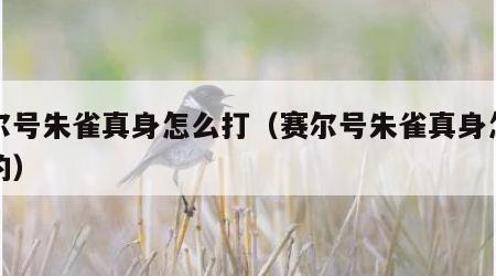 赛尔号朱雀真身怎么打（赛尔号朱雀真身怎么打的）