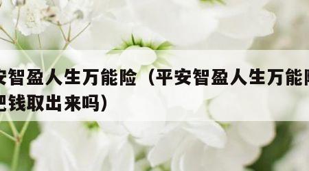 平安智盈人生万能险（平安智盈人生万能险可以把钱取出来吗）