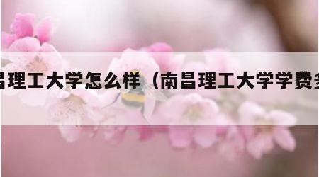 南昌理工大学怎么样（南昌理工大学学费多少）