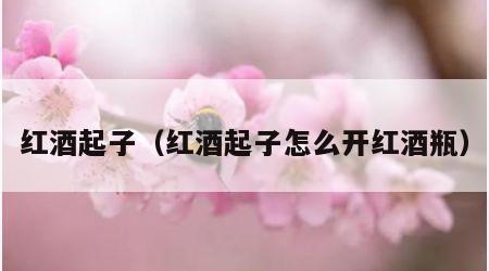 红酒起子（红酒起子怎么开红酒瓶）