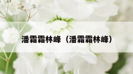 潘霜霜林峰（潘霜霜林峰）