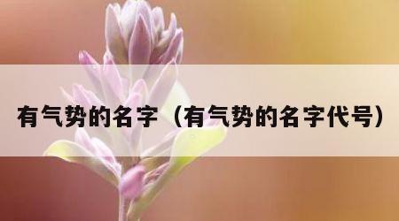 有气势的名字（有气势的名字代号）