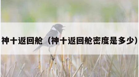 神十返回舱（神十返回舱密度是多少）