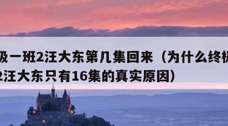 终极一班2汪大东第几集回来（为什么终极一班2汪大东只有16集的真实原因）