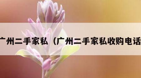 广州二手家私（广州二手家私收购电话）