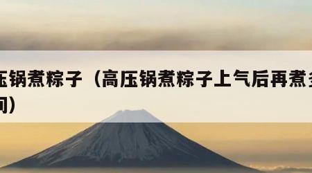 高压锅煮粽子（高压锅煮粽子上气后再煮多长时间）