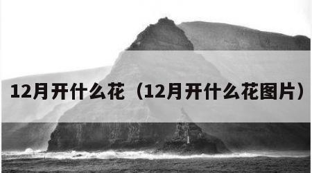 12月开什么花（12月开什么花图片）